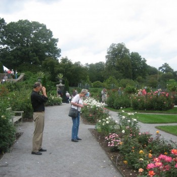 img-0940-2