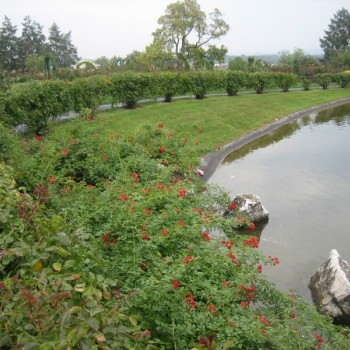img-1235-2